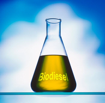 biodiesel