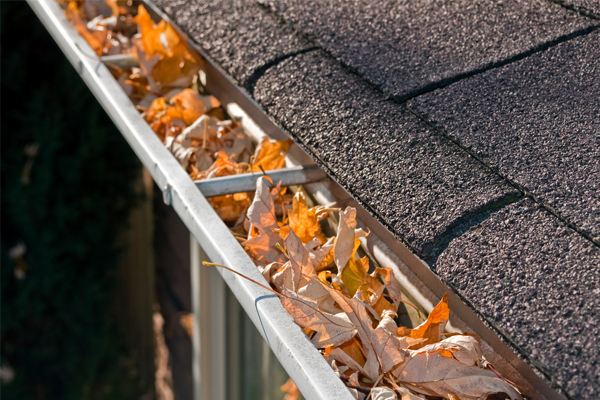 cleaning gutters in the fall