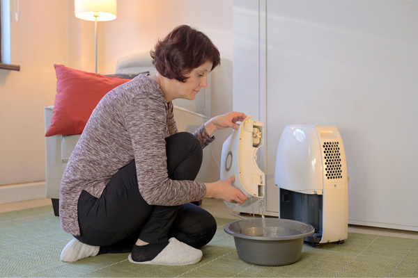 portable dehumidifier