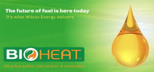 bioheat - the future of fuel