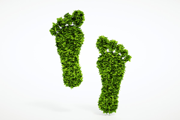 image of a leafy foot depicting a carbon footprint and green energy