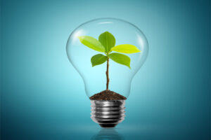 image of light bulb depicting green energy