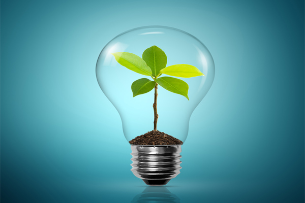 image of light bulb depicting green energy