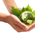 image of hands and plants and globe depicting sustainable energy