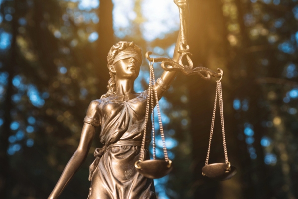 Lady Justice Statue in the forest depicting Legal and Environmental Considerations