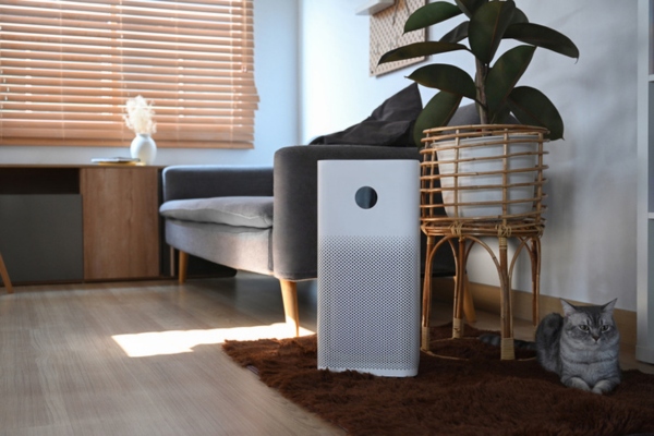 air purifier with monitor beside a gray cat on the living room floor