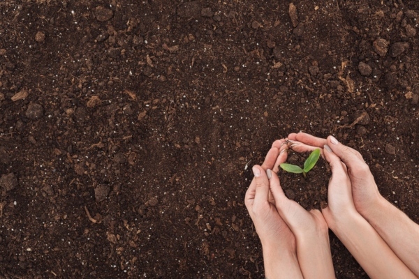 two sets of hands holding soil with a sprout depicting environmental toll of old air conditioner