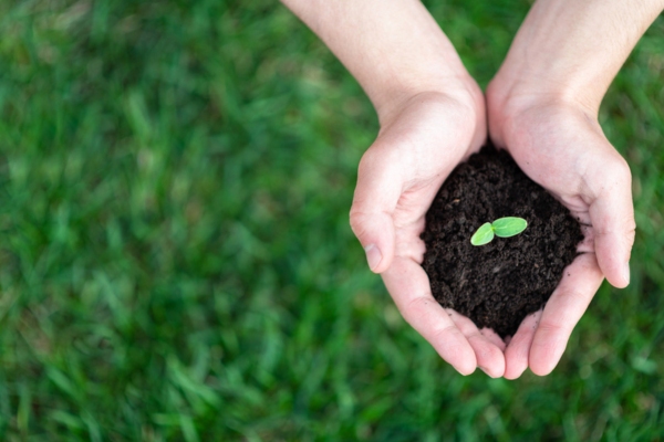 hand holding soil with sprout depicting Renewable Bioheat® Fuel