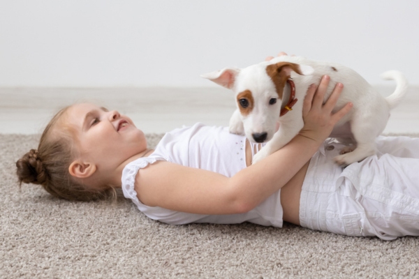 kid lying down on a carpet with a puppy on her belly